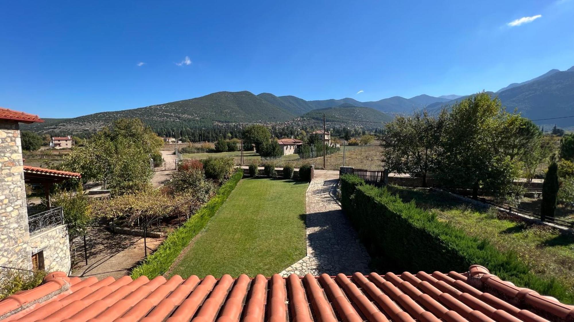 Mountain View - Full * Polydrossos